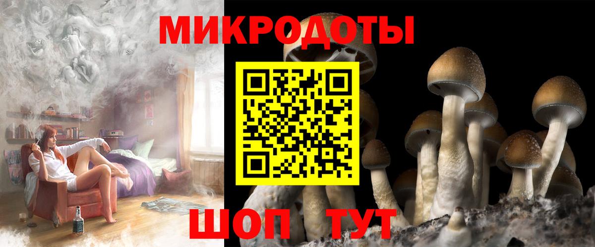 Псилоцибиновые грибы Cubensis  Вход с VPN  Красноярск 